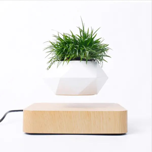 Abundants Reset™ Levitating Air Bonsai Pot